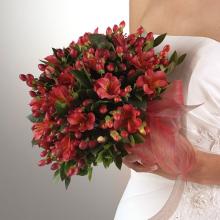 Red Alstroemeria & Hypericum Bridal Bouquet